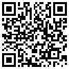 QR Code Handyversion