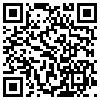 QR Code Handyversion