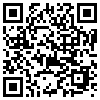 QR Code Handyversion