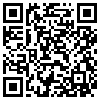 QR Code Handyversion