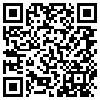 QR Code Handyversion