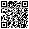 QR Code Handyversion