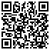 QR Code Handyversion