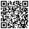 QR Code Handyversion