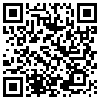 QR Code Handyversion