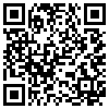 QR Code Handyversion