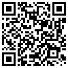 QR Code Handyversion