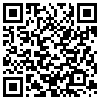 QR Code Handyversion