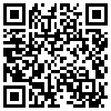 QR Code Handyversion