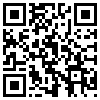 QR Code Handyversion