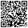 QR Code Handyversion