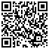 QR Code Handyversion