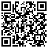 QR Code Handyversion