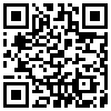 QR Code Handyversion