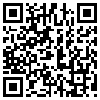 QR Code Handyversion