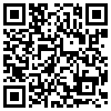 QR Code Handyversion