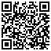 QR Code Handyversion