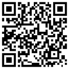 QR Code Handyversion