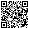 QR Code Handyversion