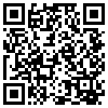 QR Code Handyversion