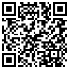 QR Code Handyversion