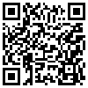 QR Code Handyversion