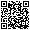 QR Code Handyversion