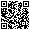QR Code Handyversion