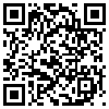 QR Code Handyversion
