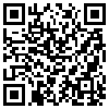 QR Code Handyversion