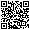 QR Code Handyversion