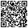 QR Code Handyversion