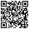 QR Code Handyversion