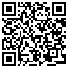 QR Code Handyversion