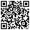 QR Code Handyversion