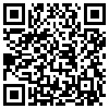 QR Code Handyversion