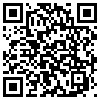 QR Code Handyversion