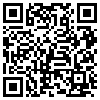 QR Code Handyversion