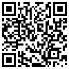 QR Code Handyversion