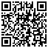 QR Code Handyversion