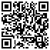 QR Code Handyversion