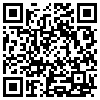 QR Code Handyversion