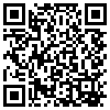 QR Code Handyversion