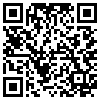 QR Code Handyversion