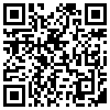 QR Code Handyversion