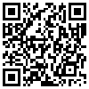 QR Code Handyversion