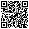 QR Code Handyversion