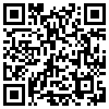 QR Code Handyversion