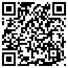 QR Code Handyversion