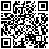 QR Code Handyversion